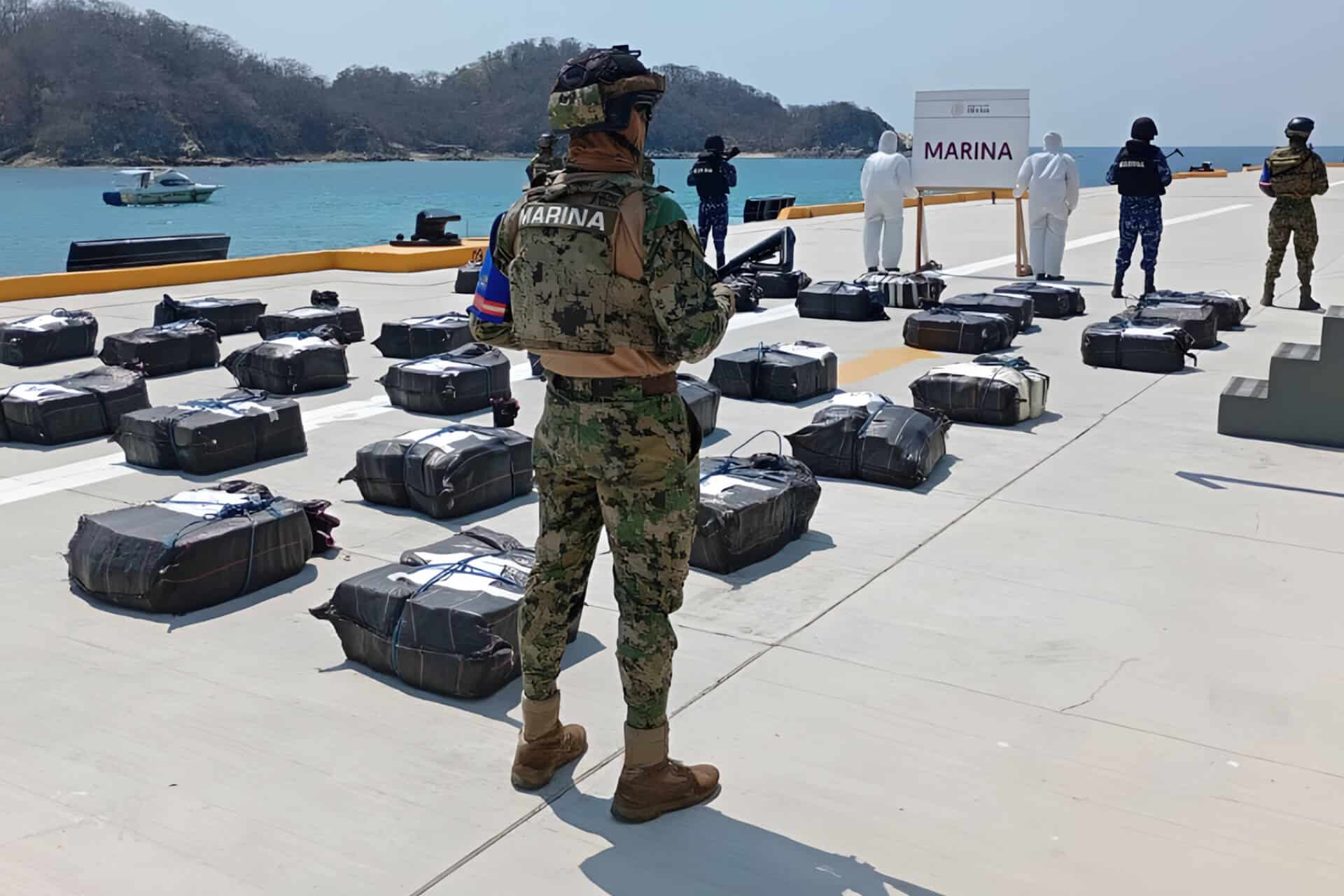 曼萨尼约港突发查缉：海陆空封锁对墨西哥海运查验率的影响 – 墨捷国际物流